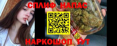 МДПВ Ливны