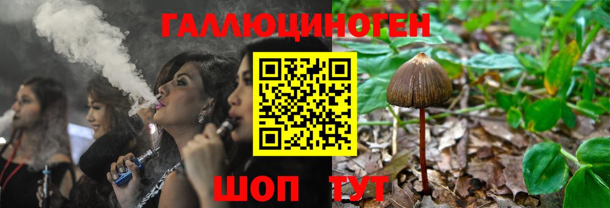 Дубна  Псилоцибиновые грибы Magic Shrooms  купить   Вход с VPN 