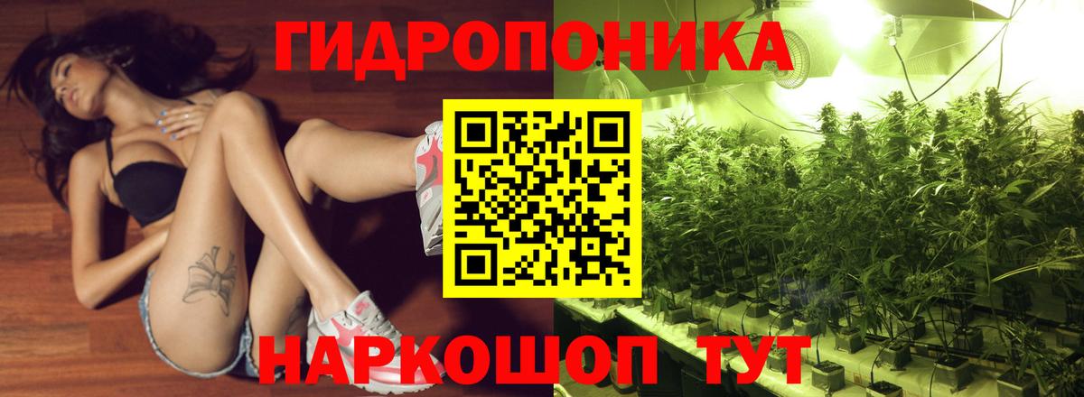 Шишки марихуана план Дубна